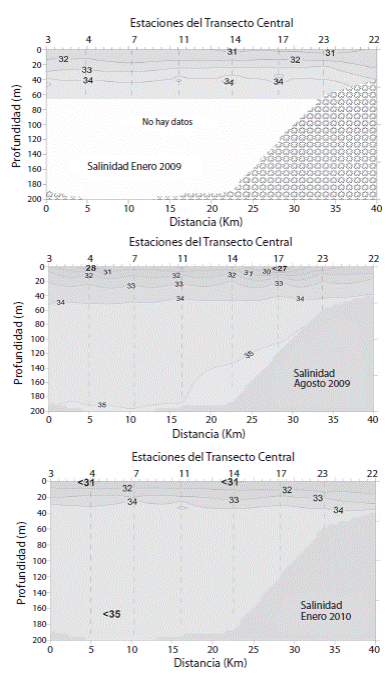 Salinity vertical distribution in the Central Transect during January 2009 (top), August 2009 (center) and January 2010 (bottom).
