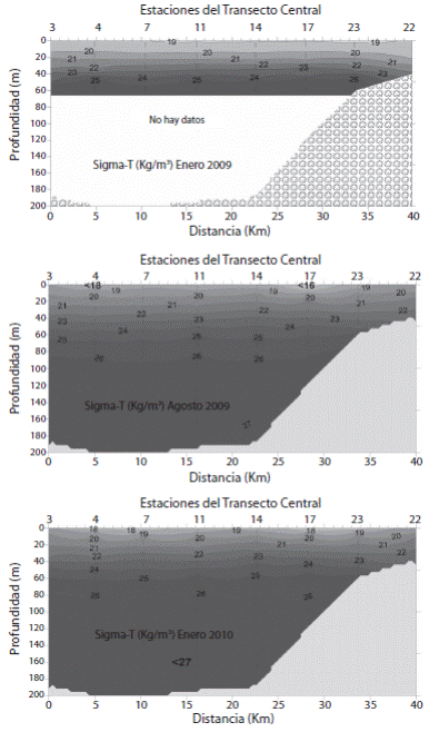 Sigma-T vertical distribution (kg/m3) in Central Transect during January 2009 (top), August 2009 (center) and January 2010 (bottom).