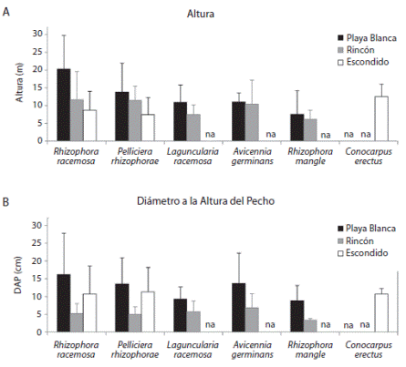 Mean (&plusmn;standard deviation) height (A) and diameter at breast height (DBH) (B) average for each mangrove species found in the mangroves of Playa Blanca, Rinc&oacute;n de Osa and Escondido, Golfo Dulce, Cosa Rica.