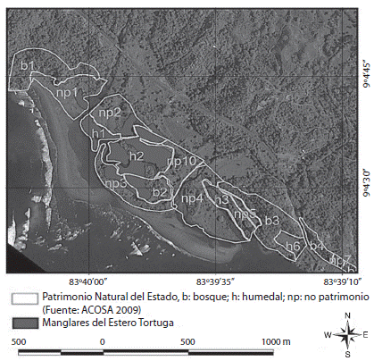 Comparative map between the delimitation of the National Patrimony (B: forest, H: wetland y NP: not patrimony) and the current border of the mangrove forest of the Tortuga Estuary.
