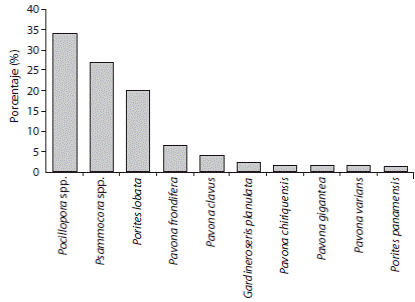 Contribuci&oacute;n porcentual por especie de coral al total de la cobertura coralina en el &Aacute;rea de Conservaci&oacute;n Osa. Fig. 1. Coral species percentages from total coral cover at Osa Conservation Area.