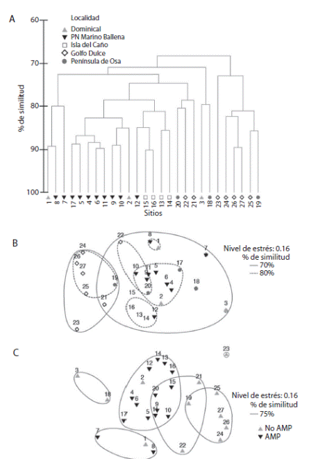 A) Hierarchical cluster analyses, B) Non metric multi-dimensional scaling analysis by locality factor, and C) by protection factor, based on a Bray Curtis similarity matrix using substrate cover percentages values in the sampled sites at Osa Conservation Area. Sites numbers on Table 1.