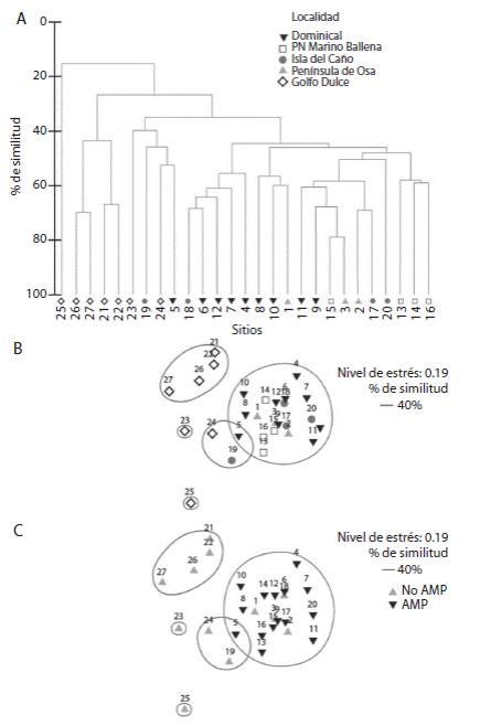 A) Hierarchical cluster analyses, B) Non metric multi-dimensional scaling analysis by locality factor, and C) by protection factor, based on a Bray Curtis similarity matrix using macroinvertebrate densities values in the sampled sites at Osa Conservation Area. Sites numbers on Table 1.