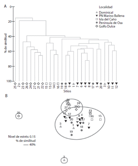 A) Hierarchical cluster analyses, B) Non metric multi-dimensional scaling analysis by locality factor, based on a Bray Curtis similarity matrix using fish biomass values (data square root transformed) in the sampled sites, at Osa Conservation Area. Sites numbers on Table 1.
