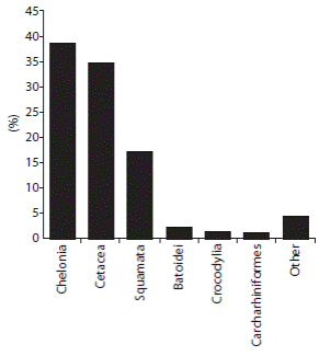 Percentage of total sightings by taxa.