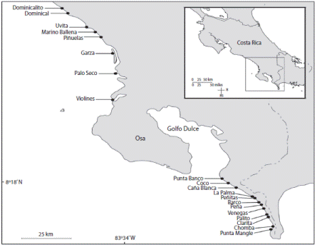 Ubicaci&oacute;n de las playas de arena donde se recolectaron barrenos. Puntarenas, Costa Rica. Enero 2008 y abril 2012. Fig. 1. Location of the sampled sandy beaches. Puntarenas, Costa Rica. January 2008 and April 2012.