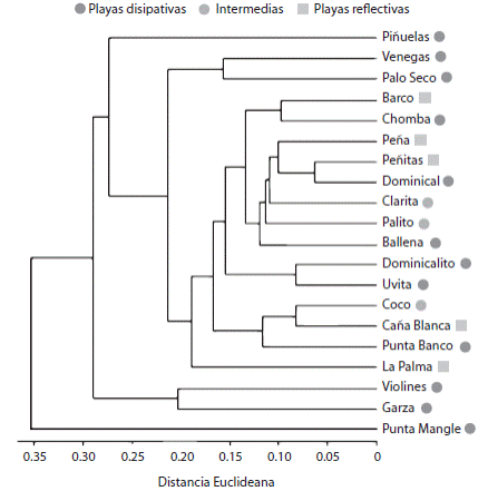Cluster analysis that shows the similitude of the macrofauna composition found in sandy beaches according to physical classification. The beaches included are found on the Marino Ballena, T&eacute;rraba Sierpe and Punta Burica regions, Puntarenas, Costa Rica. 2008-2012.