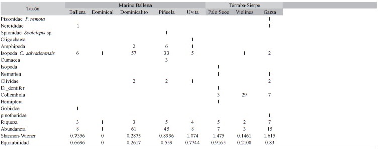 Distribuci&oacute;n de taxones y diversidad en las diferentes localidades de colecta de sedimentos desde Punta Banco a Punta Mangle, Punta Burica. 2008