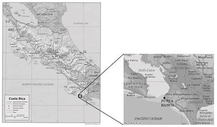 Ubicaci&oacute;n de Playa Punta Banco en el Pac&iacute;fico Sur de Costa Rica. Fig. 1. Localization of Punta Banco Beach Southern Pacific Costa Rica.