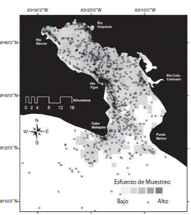 Field effort distribution in Golfo Dulce: The study &aacute;rea is divided into cells of 1.6x1.6km (n=1 293). Spatial coverage is illustrate by means of a qualitative gradient scale, where the maximum effort invested implied 85h and 267km covered in each cell of 2.56km2. Sightings analyzed in this study are represented by unfilled circle, in contrast with the field effort coverage.