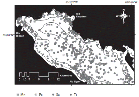 Cetacean community structure at the inner basin of Golfo Dulce (2005-2014): Tt=in-shore bottlenose dolphin, Sa=pantropical spotted dolphins (potential ecotype), Mn=humpback whale, Pc=false killer whale.