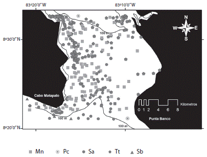 Estructura de la comunidad de cet&aacute;ceos en el &aacute;rea del umbral de Golfo Dulce (2005-2014): Tt=delf&iacute;n nariz de botella, Sa=delf&iacute;n manchado pantropical (ecotipo potencial), Mn=ballena jorobada, Pc=falsa orca, Sb=delf&iacute;n dientes rugosos. Fig. 3. Cetacean community structure at the sill area of Golfo Dulce (2005-2014): Tt= in-shore bottlenose dolphin, Sa=pantropical spotted dolphin (potential ecotype), Mn=humpback whale, Pc=false killer whale, Sb=rough toothed dolphin.