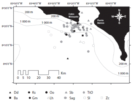 Cetacean community structure at the transitional-oceanic area of Golfo Dulce (2005-2013): TtO=off-shore bottlenose dolphin, Sag=pantropical spotted dolphin (subespecie: S. attenuata graffmani), Sb=rough toothed dolphin, Sl=spinner dolphin (Central American sub-especie), Lh=Fraser&acute;s dolphin, Dd common dolphin, Gm=short finned pilot whale, Ks=dwarf sperm whale, Zc=ballena de Cuvier, Oo=Orca y Ba=ballena rorcual.