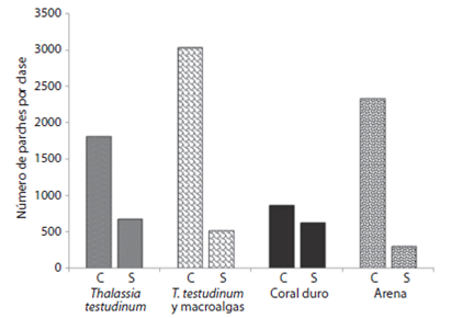 Fragmentación del paisaje. Número de Parches en los sistemas Cabezo (C) y Sacrificios (S).