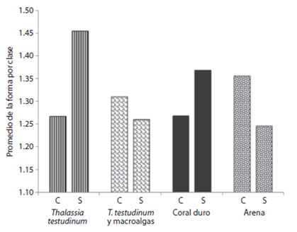 Fragmentación del paisaje. Promedio de la forma en los sistemas Cabezo (C) y Sacrificios (S).