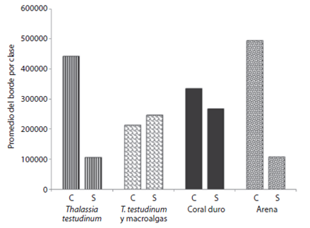 Fragmentación del paisaje. Promedio del borde en los sistemas Cabezo (C) y Sacrificios (S).