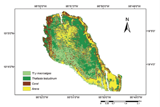 Mapa de distribución de los tipos de fondo del arrecife Cabezo.