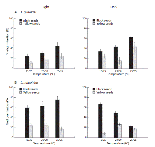 Effects of seed colour, and light and temperature of incubation on final germination percentage (mean ± standard error) of L. glinoides (A) and L. halophilus (B).