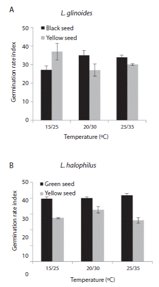 Effects of seed colour, and temperature of incubation on germination rate index (mean ± standard error) of L. glinoides (A) and L. halophilus (B).