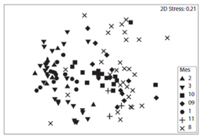 Non-parametric multidimensional ordering nMDS for the throws analyzed with a degree of stress of 0.21 based on taxonomic distances in the Northern Gulf of California during 2009-2010 and 2010-2011.