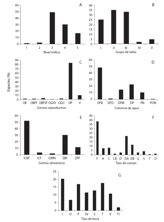 Community structure based on ecological attributes and morphological traits of by-catch during 2009-2010 and 2010-2011 in the Northern Gulf of California.