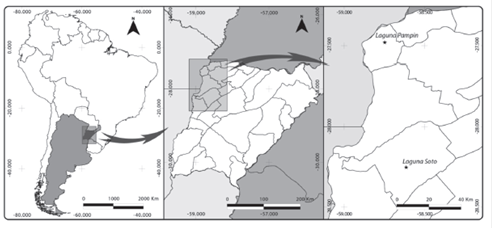 Lagunas Soto y Pampín, Corrientes, Argentina. / Fig. 1. The Soto and Pampín lakes in Corrientes, Argentina.