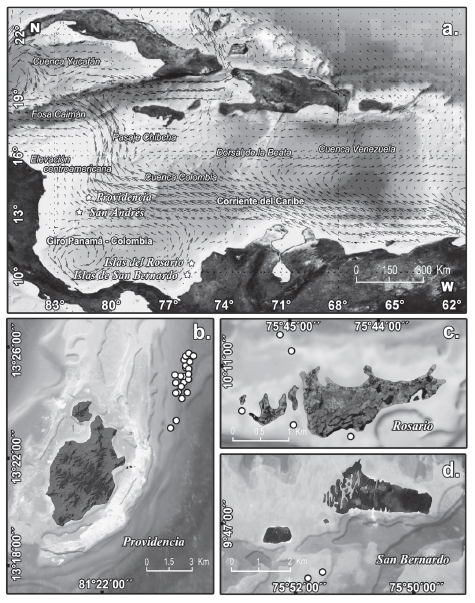 a. Caribbean Sea including the geomorphologic variation and superficial average dynamic of currents obtained from velocity results of the Parallel Oceanic Circulation Model. The dynamics of the currents are modified from Ruíz-Ochoa (2011) b. Providence. c. Rosario. d. San Bernardo (Taken from the Cartographic base SIG INVEMAR). The white circles indicate the sampling sites.