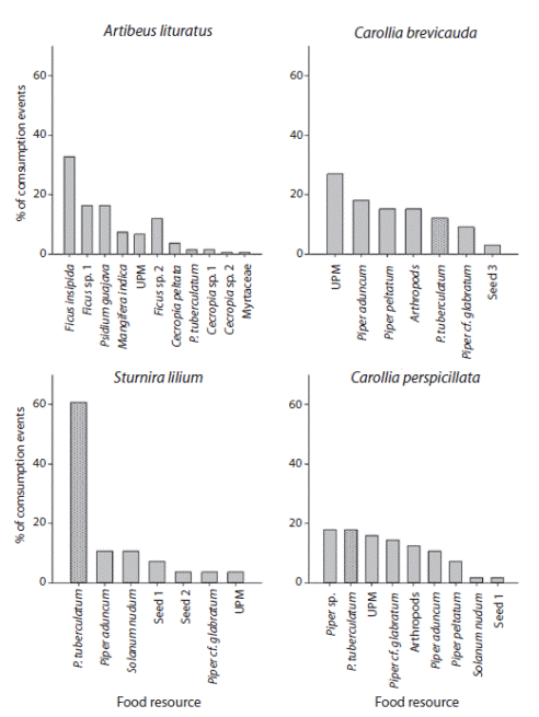 Proportion of consumption events of food resources for species of frugivorous bats in Robles, Valle del Cauca, Colombia. Abbreviation: UPM = Unidentified plant material.