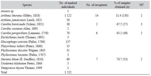 Species of frugivorous bats captured and fecal samples obtained in Robles, Valle del Cauca, Colombia