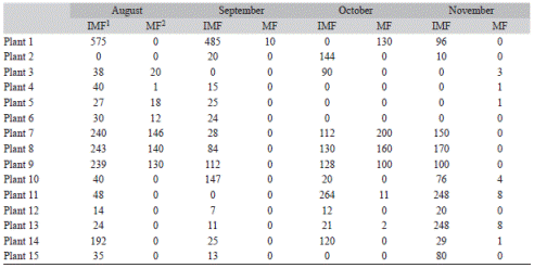 Number of fruits of Piper tuberculatum in eight fixed plots in Robles, Valle del Cauca, Colombia August September October November