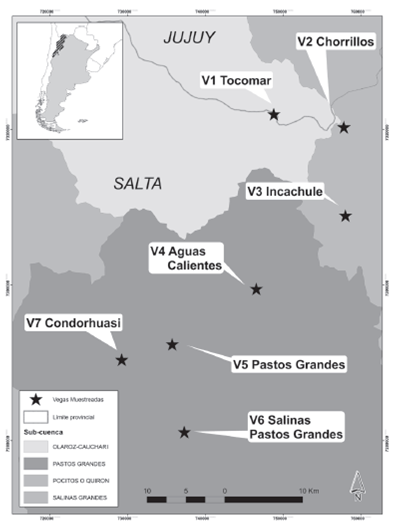 Vegas muestreadas, Salta, Argentina. / Fig. 1. Sampled peatbogs, Salta, Argentina.