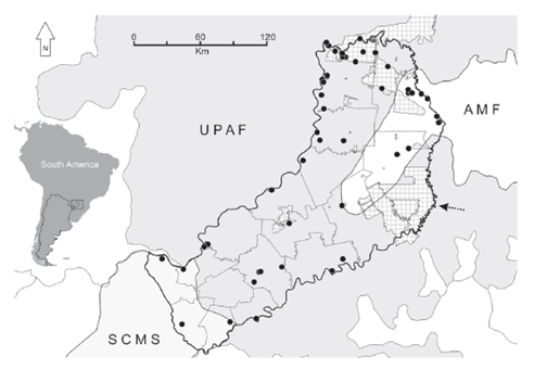 Locality records of Salticidae species (dots) and extent of the ecoregions (UPAF: Upper Parana Atlantic Forest; AMF: Araucaria Moist Forest; SCMS: Southern Cone Mesopotamian Savanna) from Olson et al. (2001) in Misiones province, Argentina. Grid: conservation areas (arrow: Yabot&iacute; Biosphere Reserve). Inset: location of the map area in South America.
