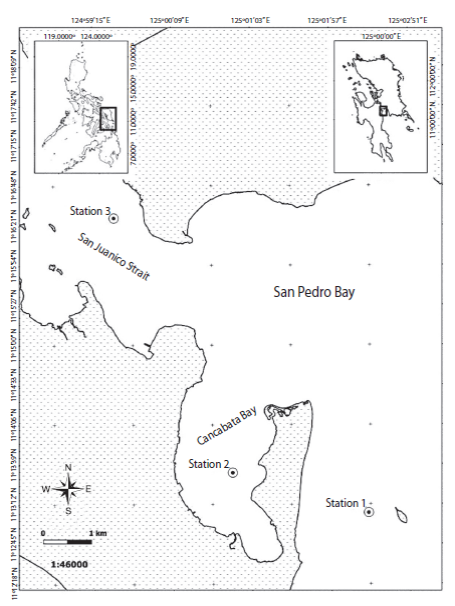 The inner portion of San Pedro Bay showing the location of the three sampling stations.