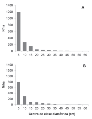(A). Distribuci&oacute;n diam&eacute;trica de R. mangle en la Bah&iacute;a de Cispat&aacute;. (B). Distribuci&oacute;n diam&eacute;trica de A. germinans en la Bah&iacute;a de Cispat&aacute;.