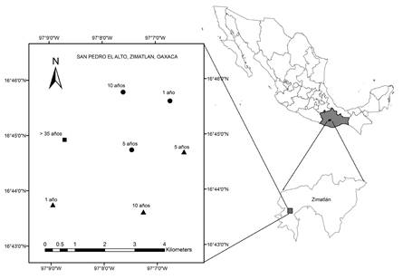 Study sites location in San Pedro el Alto, Zimatlán community, Oaxaca, Mexico. ▲ AP treatment ● SG treatment and ■ Control.