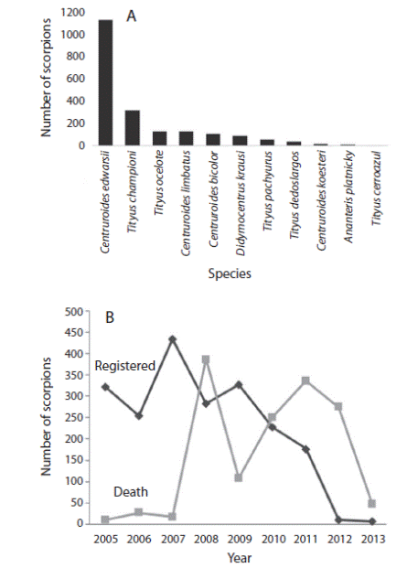 A. Number of individuals by species in the collection of the Clodomiro Picado Institute. B. Number of scorpions that were registered and deaths by year in the Clodomiro Picado Institute.