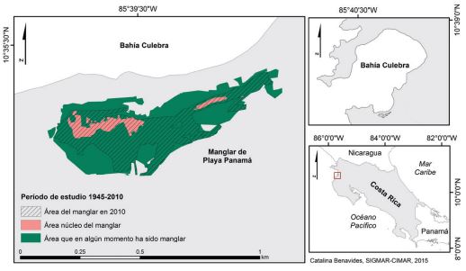 Spatial and temporal variation of the mangrove forest area of Playa Panam&aacute;, Bah&iacute;a Culebra, Guanacaste, during a 65-year period (1945-2010).