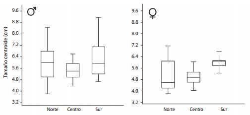 Size variation (cm) of males and females of P. argus among oceanographic scenarios of San Andrés archipelago.