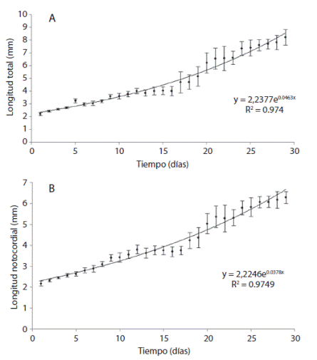 Variaci&oacute;n diaria en la Longitud total promedio (A) y la Longitud notocordial promedio (B) de la corvina aguada (C. squamipinnis) durante el periodo de levantamiento en el laboratorio.