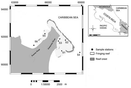 Stations visited during September 2010-August 2011 at Cahuita National Park, Lim&oacute;n (modified from Fonseca, Salas, & Cort&eacute;s, 2006).