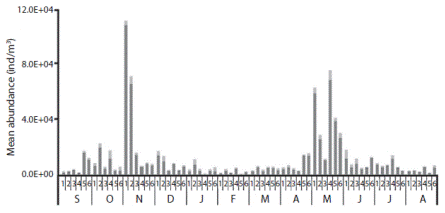 Total abundance of holoplankton (dark gray) and meroplankton (light gray) in six stations at Cahuita NP; from September 2010 to August 2011.