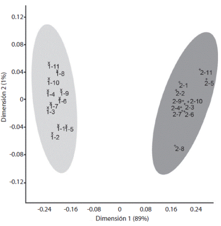 MDS using Gower&rsquo;s distance among general zooplankton taxa and the months and the stations shared between Morales & Murillo (1996) and the present study. Cahuita NP, Lim&oacute;n. Morales & Murillo (1996) data set represented by a number &ldquo;1&rdquo; in light gray and the present study represented by a number &ldquo;2&rdquo; in dark gray. Numbers after hyphen represents the month shared: from January (1) to November (11).