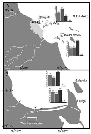 Veracruz Reef System National Park. A) The Jamapa Basin and Antigua Basin in the state of Veracruz, and the average concentration of the chemical microanalysis for Isla Verde and Isla de Enmedio reefs. B) The average concentration of chemical microanalysis results for Gallega and Galleguilla. The black arrows indicate industrial and domestic discharges; white polygon: water treatment plant. Dotted arrow, currents in summer. Gray arrows, currents in winter.