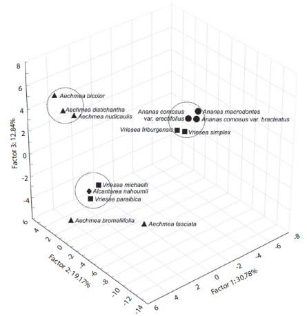 Dispersion diagram of scores associated with the first three principal components obtained from the analysis of volatile compounds from flowers of 13 species of Bromeliaceae by HS-SPME/GC-MS.