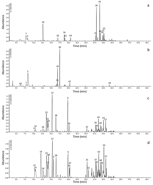 Chromatographic profile obtained by HS-SPME/GC-MS of volatile compounds in flowers of Bromeliaceae, indicating the major compounds identified: A) Aechmea bicolor, B) Alcantarea nahoumii, C) Ananas comosus var. erectifolius, D) Vriesea friburgensis.