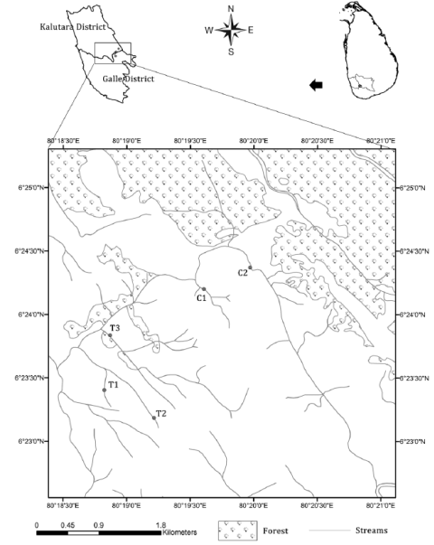 Sampling streams at the unprotected boundary of Sinharaja forest (T1, T2, T3 - subjected to fish poisoning using T. candida; C1 & C2 - did not subject to fish poisoning).