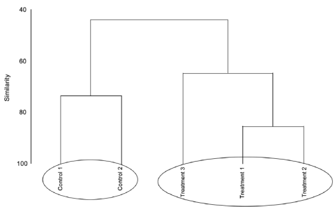 Dendrogram of streams resulting from a hierarchical cluster analysis of fish abundance and composition data. (Treatment 1, 2 & 3 - streams subjected to fish poisoning using T. candida; Control 1 & 2 - streams that did not subject to fish poisoning).