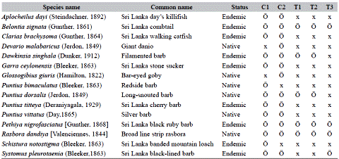 Fish species recorded from NTF (C1 & C2) and TF (T1, T2 & T3) streams at the unprotected boundary of Sinharaja forest, Sri Lanka