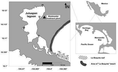 Location of the La Boquita coral community on the coast of Colima, Mexico. S1-S6 mark the location of the sampling stations (temperature, salinity, nutrients, phytoplankton) within the Juluapan lagoon and the control station (CS) in 2011. C1, C2, and C3 indicate the location of the sampling stations on the coral (structure, composition, turbidity of water column, algal coverage) during September, November (2011), and January (2012).