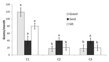 Total sedimentation rate and grain type at C1 (next to the communication between the Bay and the lagoon), C2 (middle zone), and C3 (opposite side). Various symbols denote significant differences between each grain type by station of sampling (P < 0.05) (n = 4, mean &plusmn; SE).
